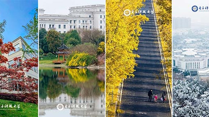 电子元件采购数量计算：揭秘采购背后的逻辑